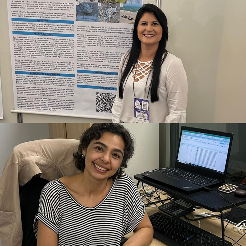 Servidoras do Idaf recebem primeiro lugar em estudo de Influenza aviária