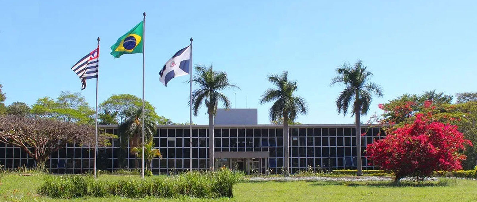 Instituto de Zootecnia oferece curso sobre melhoramento genético