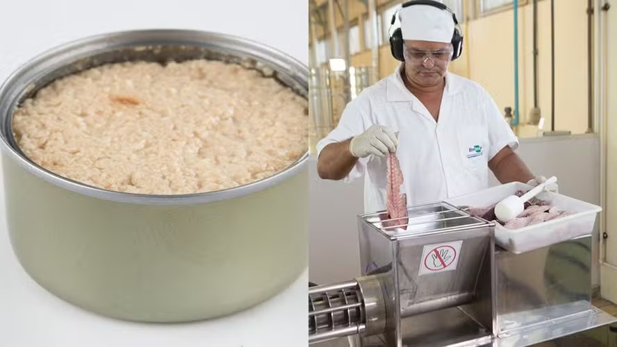 Cientistas brasileiros desenvolvem produtos inovadores à base de tilápia, como ‘whey’, salsicha e sorvete Cientistas brasileiros desenvolvem produtos inovadores à base de tilápia, como ‘whey’, salsicha e sorvete