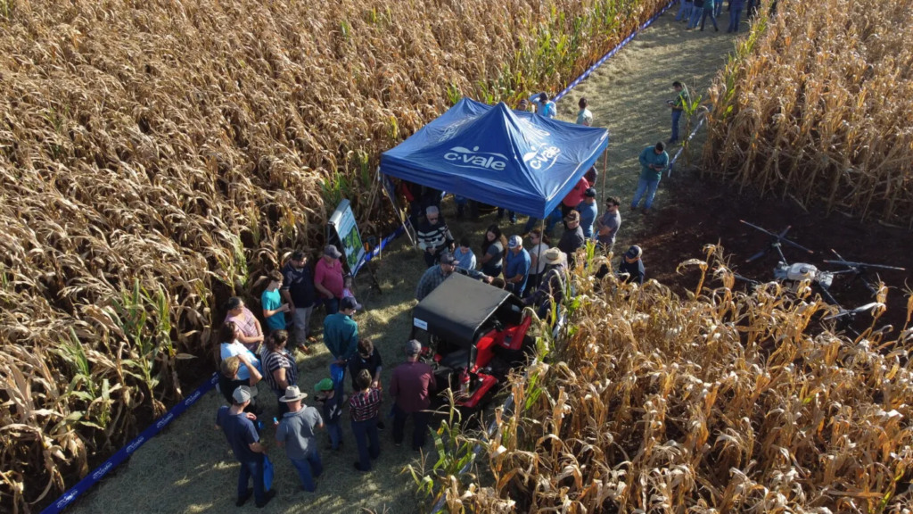 C.Vale reúne mais de 300 produtores em Dia de Campo, na cidade de Assis Chateaubriand (PR)