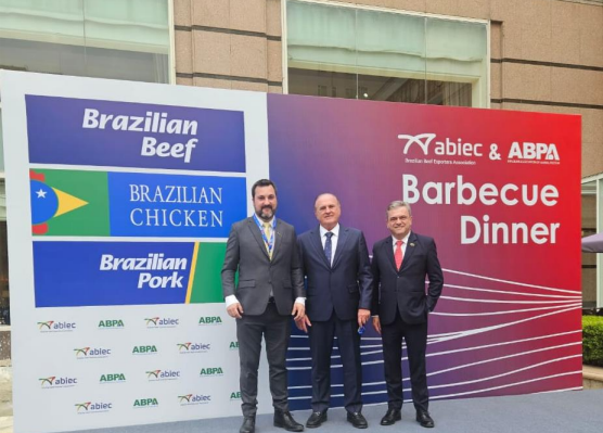 China: presidente do Sindiavipar participa de agenda para articulação de novos negócios