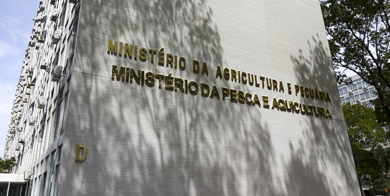 MPA abre base de dados sobre o setor da pesca e aquicultura
