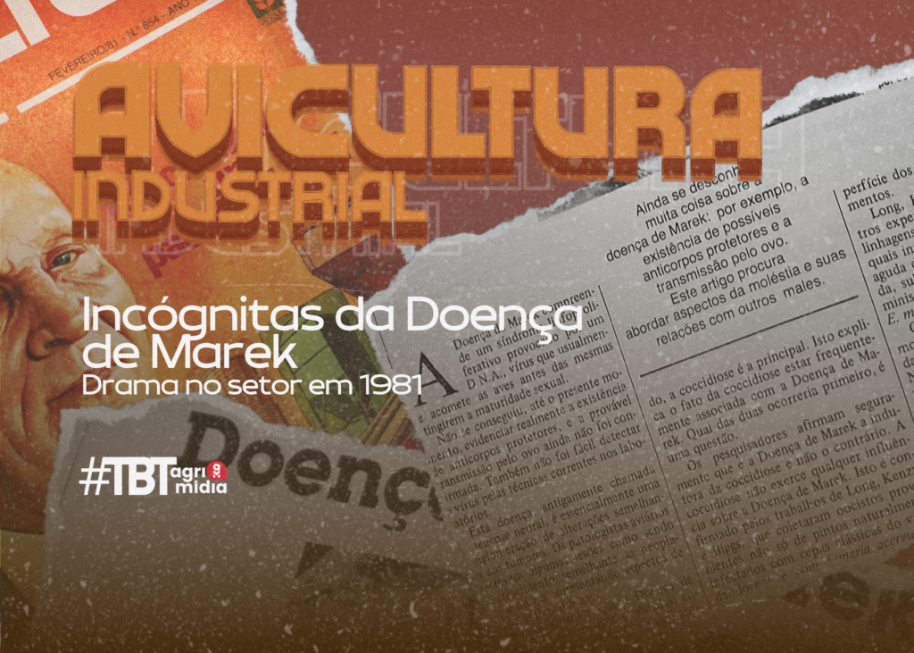 #TBTAgrimidia: como a Doença de Marek desafiou a avicultura industrial nos ‘anos 80’