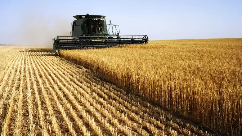 Abertura em queda para grãos em Chicago: trigo lidera desvalorização