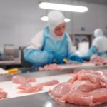 Brasil conquista nova abertura de mercado para carne bovina e frango nas Ilhas Salomão