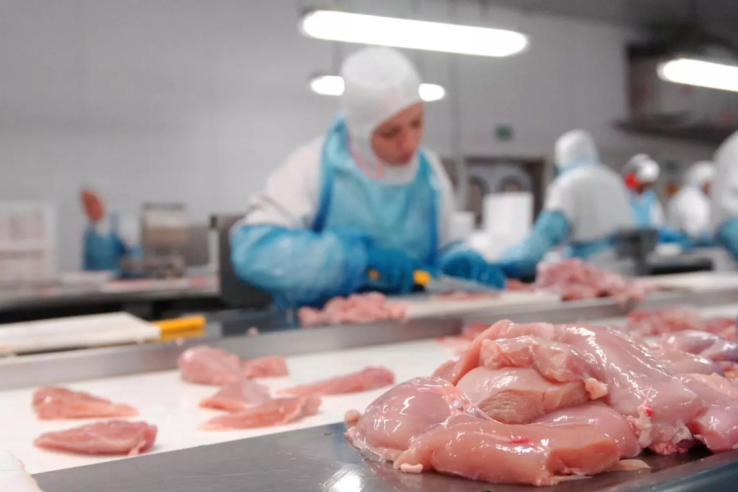 Brasil conquista nova abertura de mercado para carne bovina e frango nas Ilhas Salomão
