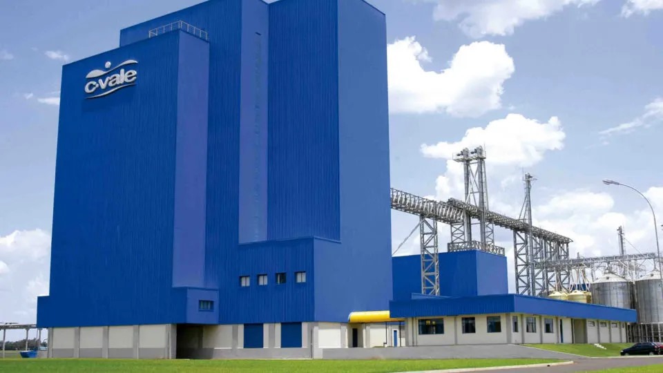 C.Vale lança corte raquete empanada durante Siavs 2024