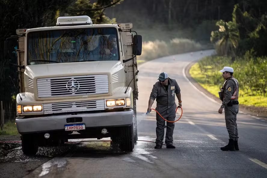 Avicultura do RS Solicita Revisão das Restrições Impostas pela Doença de Newcastle