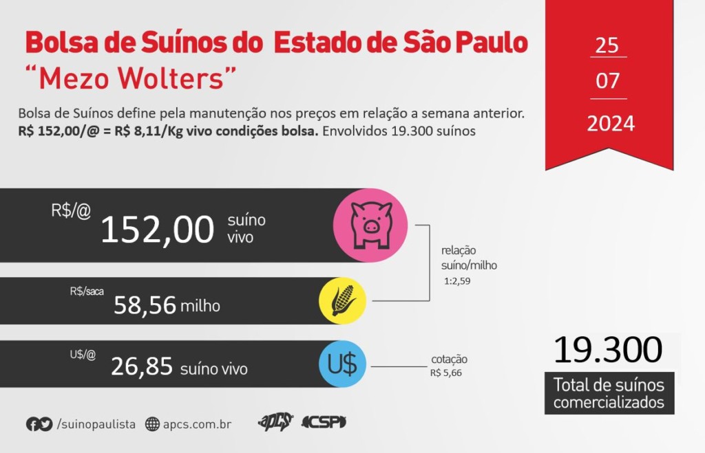 Boletim Suíno: Estabilidade em São Paulo e divergência nas regiões do Cepea