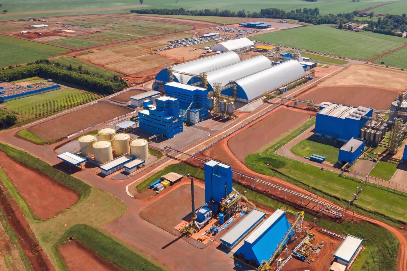 Cooperativismo avança com agroindustrialização, segundo C.Vale