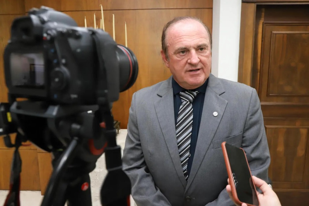 Presidente do Sindiavipar destaca razões que fazem do Brasil uma referência em proteínas