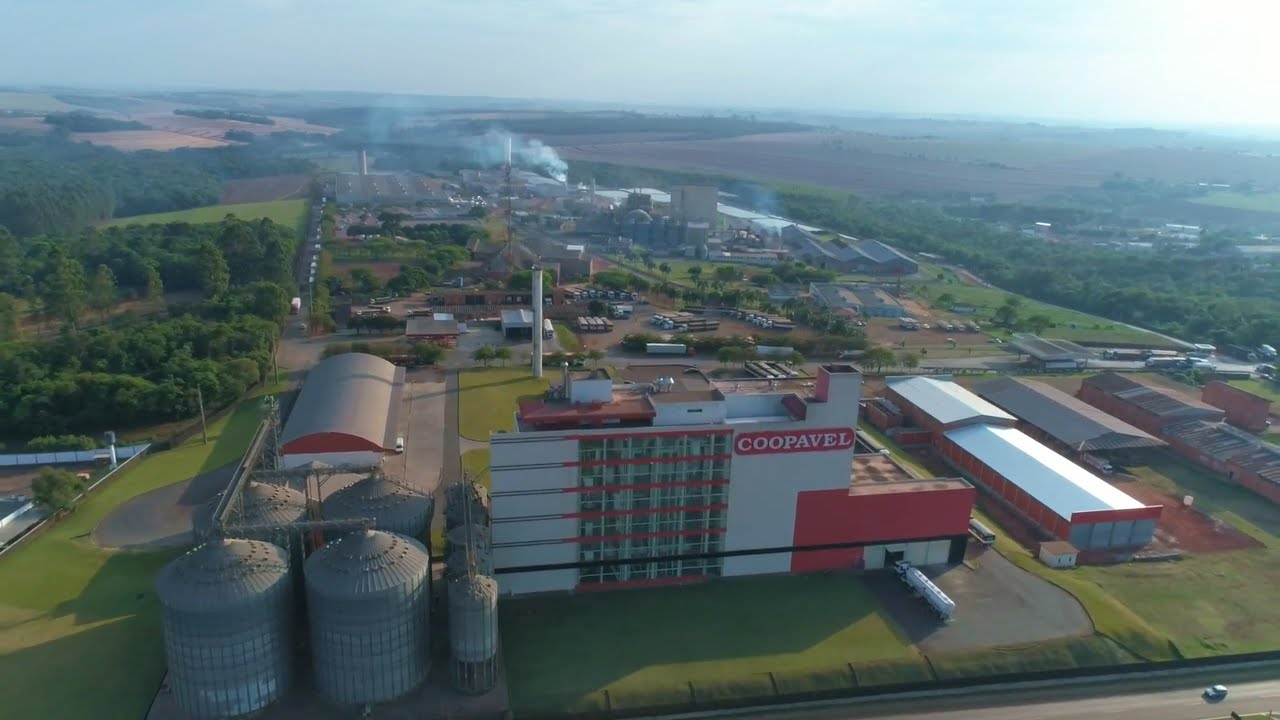 Coopavel promove evento na área de suínos para reciclar conhecimentos entre criadores Coopavel promove evento na área de suínos para reciclar conhecimentos entre criadores