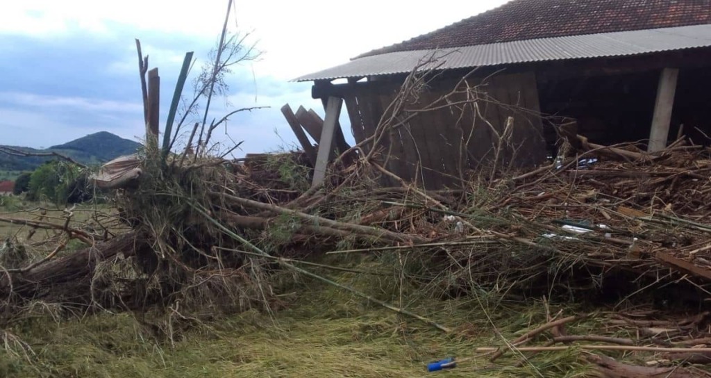 Senado pode votar projeto que perdoa dívidas de produtores rurais gaúchos