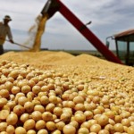 Demanda aquecida por soja levam indicadores aos maiores patamares desde abril de 2023