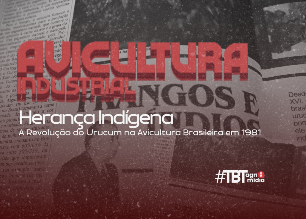 #TBTAgrimidia: Urucum como protagonista se consolidando na Avicultura Brasileira
