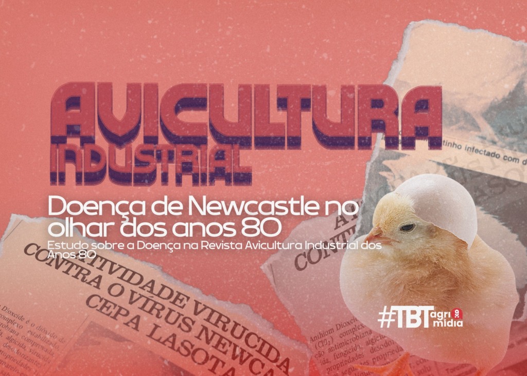 #TBTAgrimidia: Estudo sobre a Doença de Newcastle na Revista Avicultura Industrial dos Anos 80
