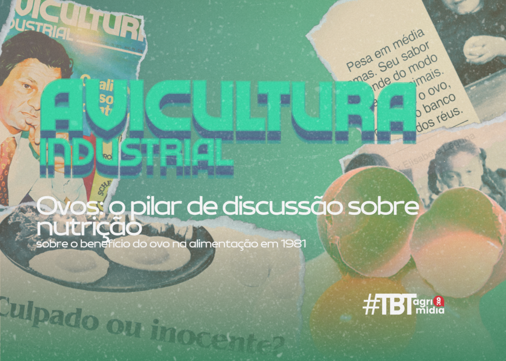 #TBTAgrimidia: Ovo é Culpado ou Inocente?