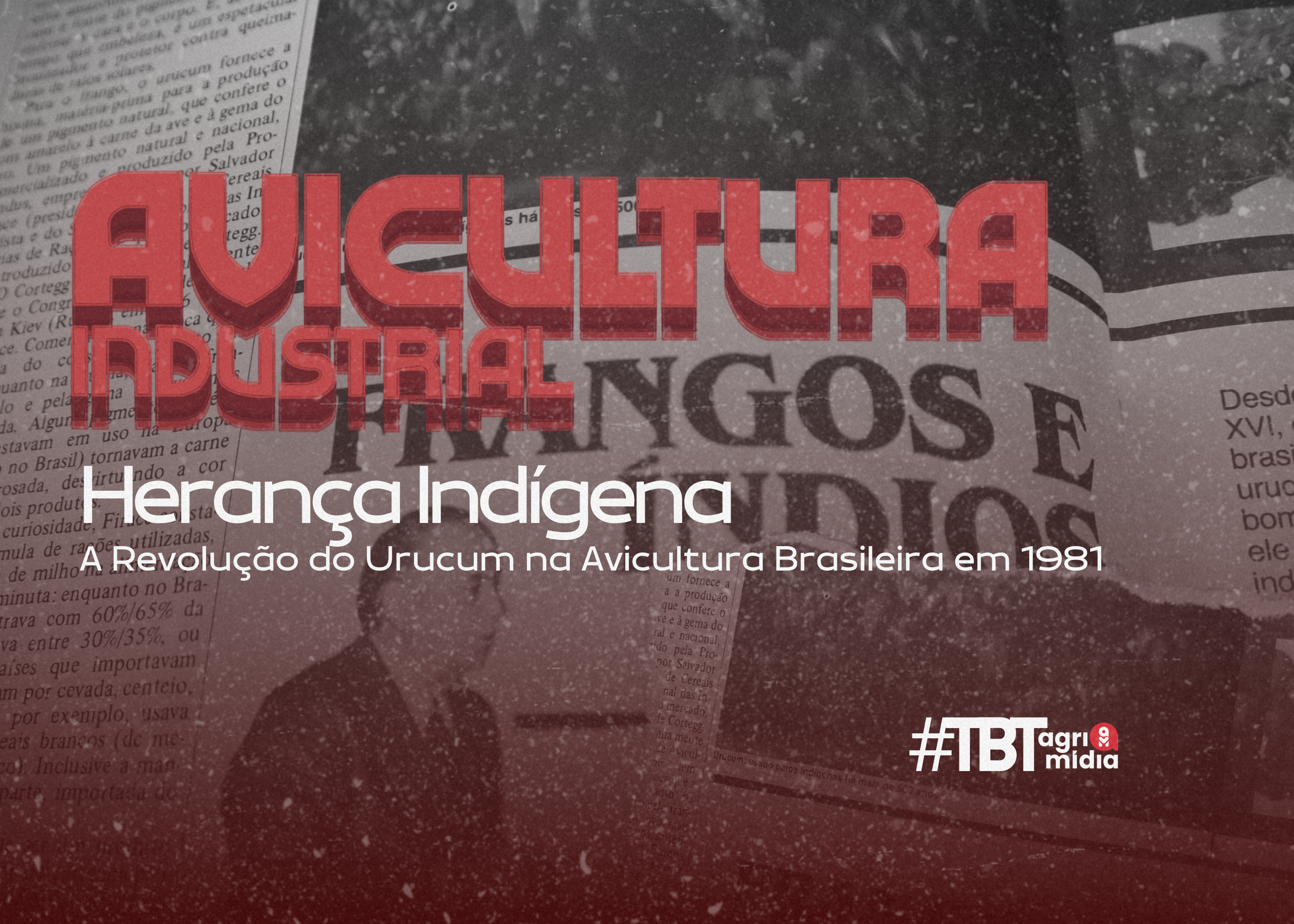 #TBTAgrimidia: Urucum como protagonista se consolidando na Avicultura Brasileira #TBTAgrimidia: Urucum como protagonista se consolidando na Avicultura Brasileira