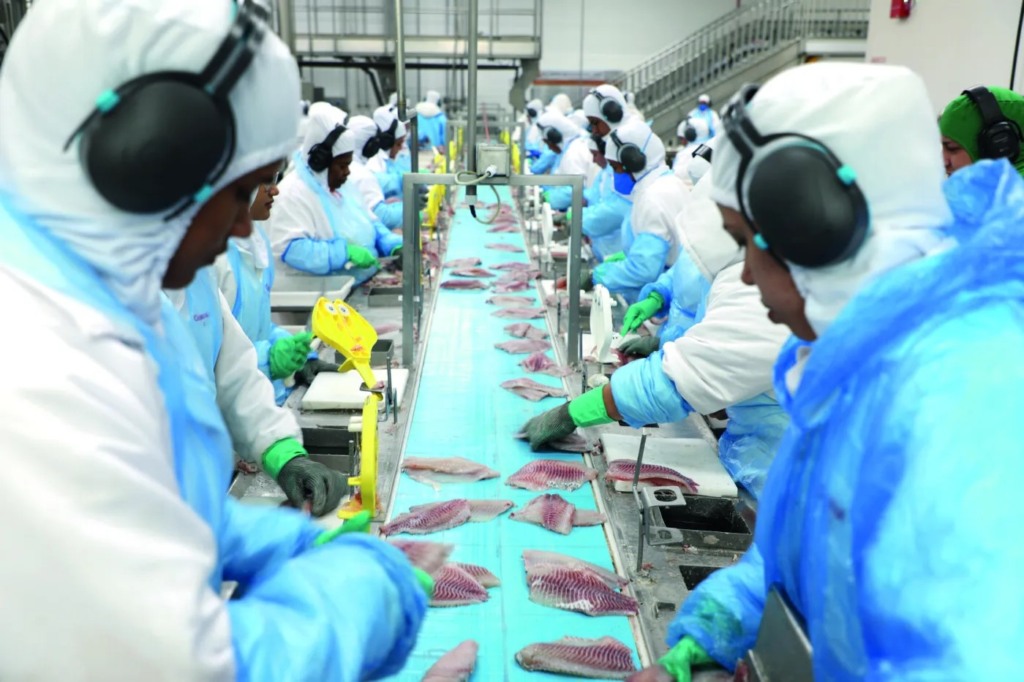 Peixe BR critica decisão do governo brasileiro em liberar importação de tilápia do Vietnã