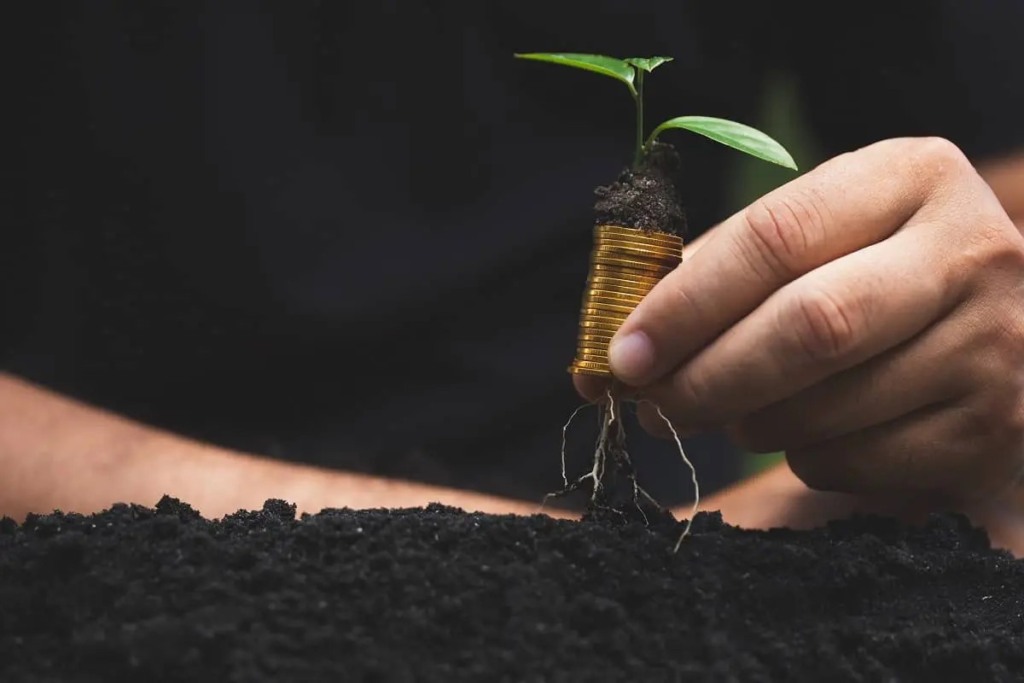 Fundo de Investimento do Agronegócio Cresce 147% nos Últimos 12 Meses Fundo de Investimento do Agronegócio Cresce 147% nos Últimos 12 Meses