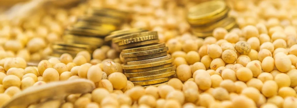 Preço da soja permanece acima dos R$ 140 a saca em Paranaguá