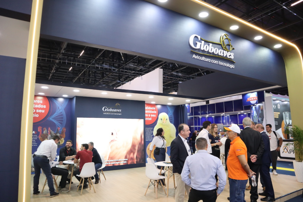 Roberto Kaefer fala sobre o mercado de pintinhos de um dia e ovos férteis