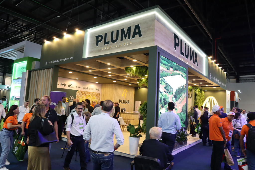 Adriano Paludo fala sobre os 25 anos da Pluma e sobre parceiras estratégicas da empresa