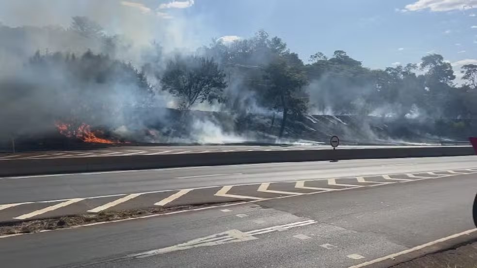 Incêndio atinge parte de Instituto da Pesca e Zootecnia em São José do Rio Preto (SP)