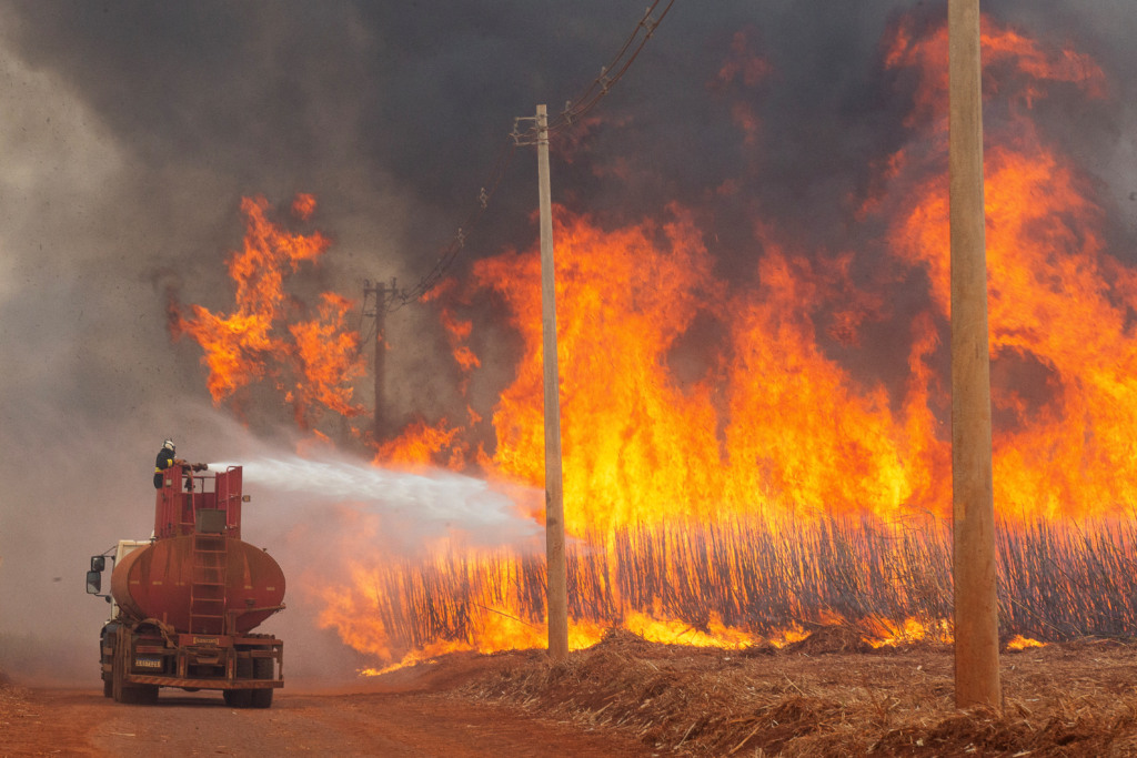 Governo de SP destina R$ 100 milhões para apoiar agronegócio afetado por incêndios