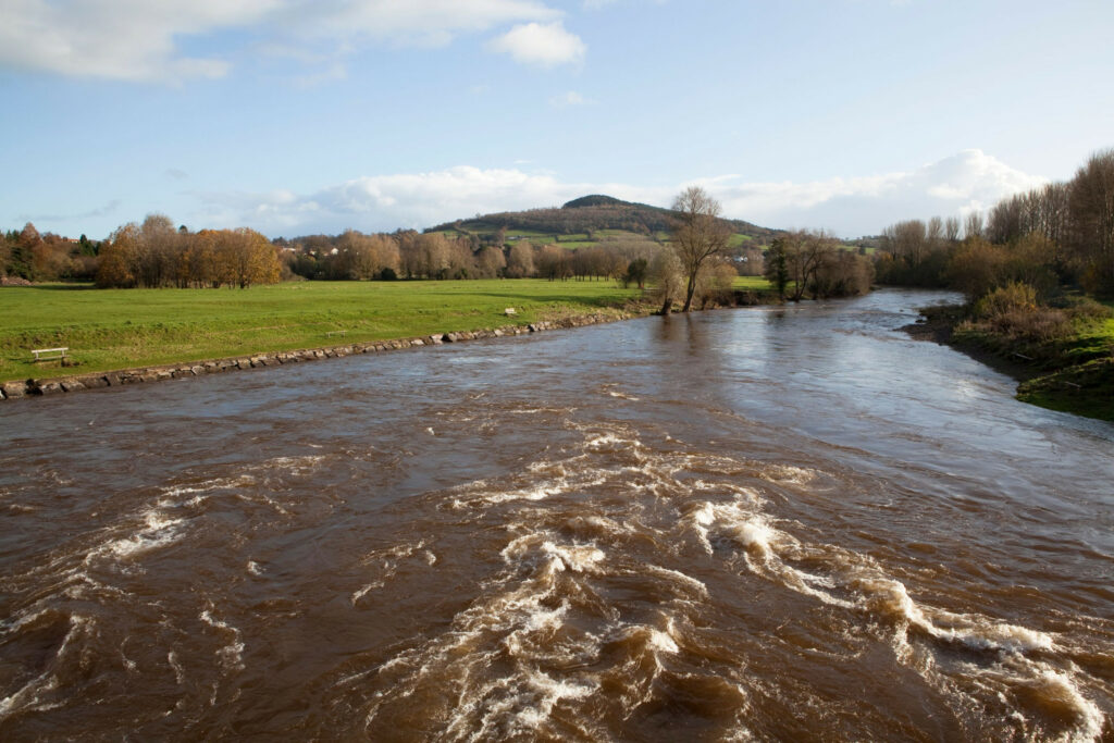 Estudo avalia impacto das granjas avícolas na qualidade da água dos rios Wye e Usk, na Inglaterra e País de Gales