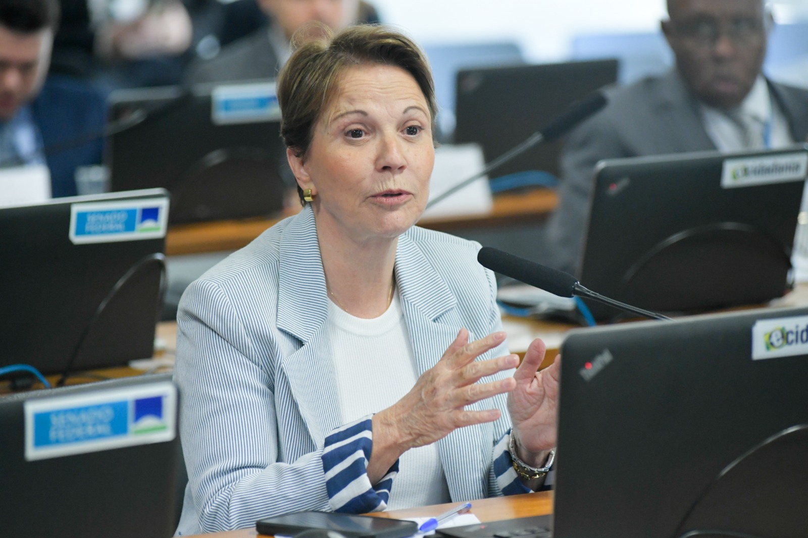Comissão do Senado Aprova Projeto para Ampliar Desoneração Fiscal na Avicultura e Suinocultura