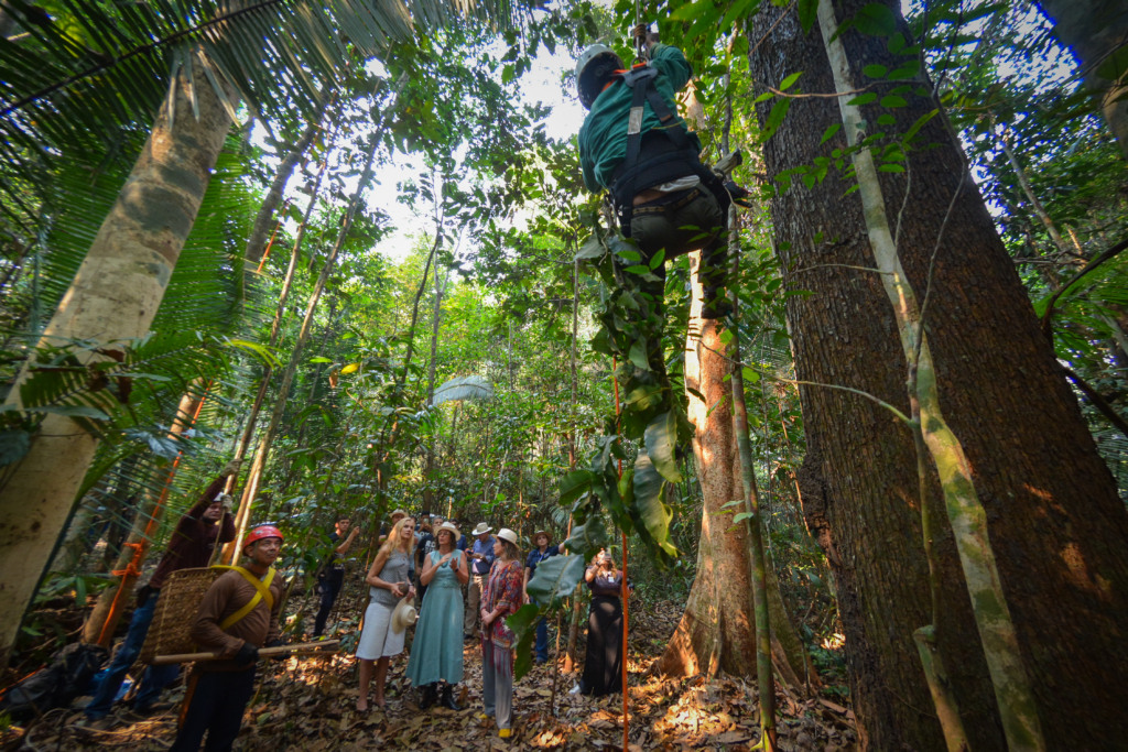 Embaixadora da União Europeia visita Embrapa Rondônia e fomenta parcerias sustentáveis