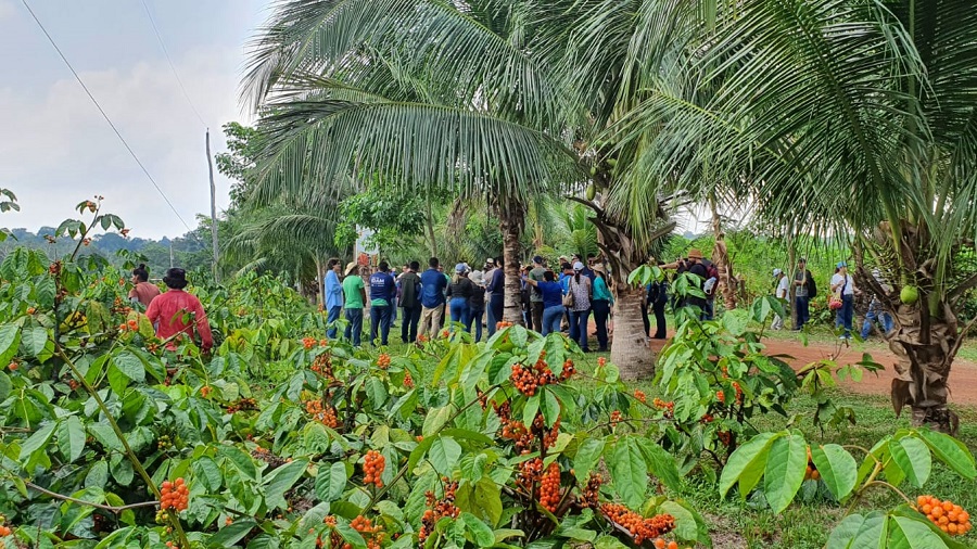 Embrapa promove oficinas para agricultura familiar no Amazonas