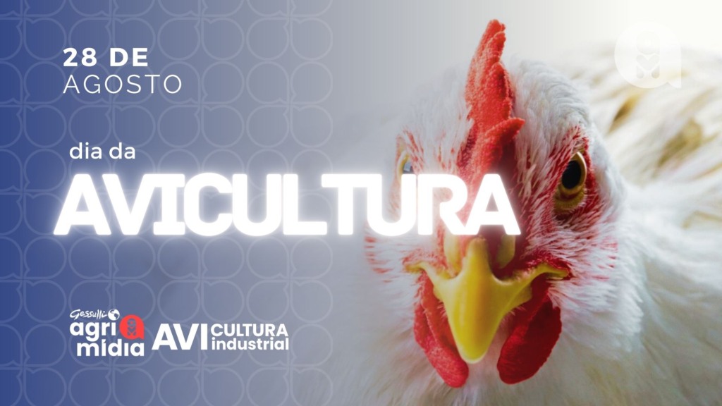 Dia da Avicultura: um pilar do agronegócio nacional e sua força no mercado global Dia da Avicultura: um pilar do agronegócio nacional e sua força no mercado global