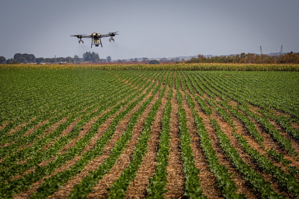 CNA aponta China na liderança de vendas de fertilizantes para o Brasil