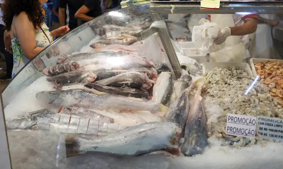 Semana do pescado pretende aumentar consumo do produto em 30% Semana do pescado pretende aumentar consumo do produto em 30%