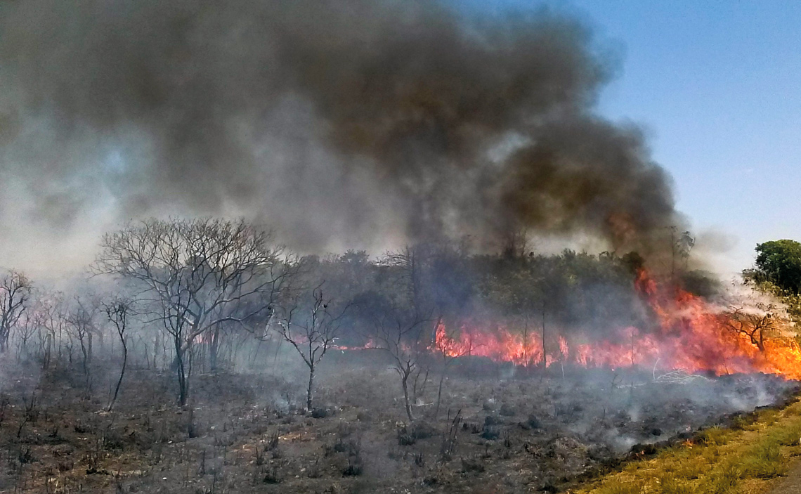 Ministro Fávaro defende rigor no combate a incêndios criminosos e anuncia linhas de crédito para recuperação