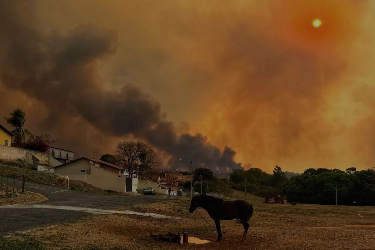 Clima extremo e queimadas de 2024 ameaçam preços de alimentos no Brasil