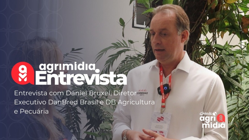 Agrimidia Entrevista: Danbred Brasil investe em técnicas de manejo na produção suína