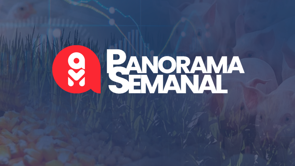 Panorama Semanal Agrimídia: anúncios de investimentos em suinocultura e recalls no mercado internacional marcam a semana 