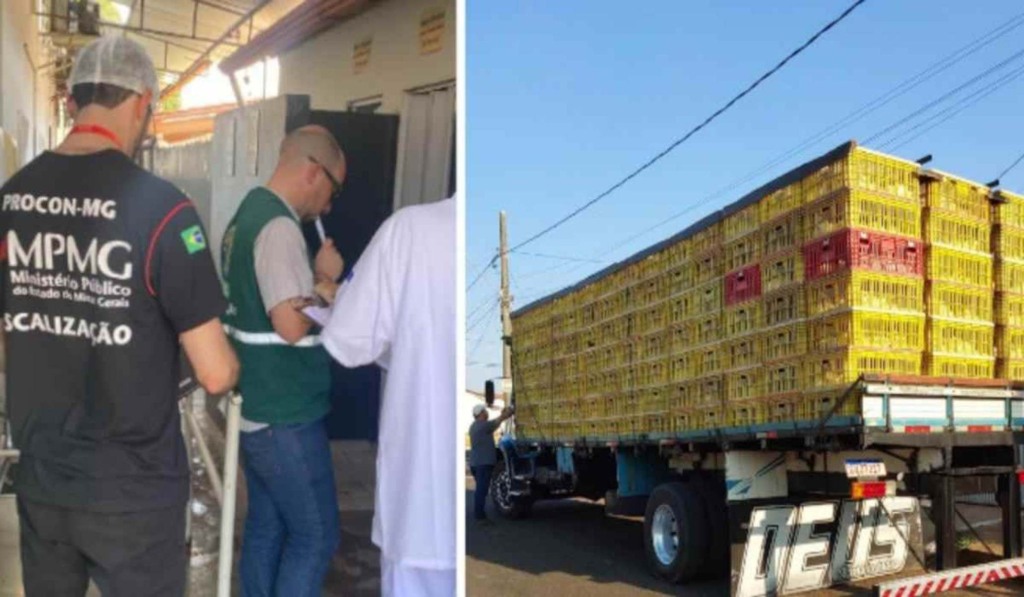 Escândalo Avícola: Indústria de Frango em Araguari (MG) é Interditada por Irregularidades em operação conjunta