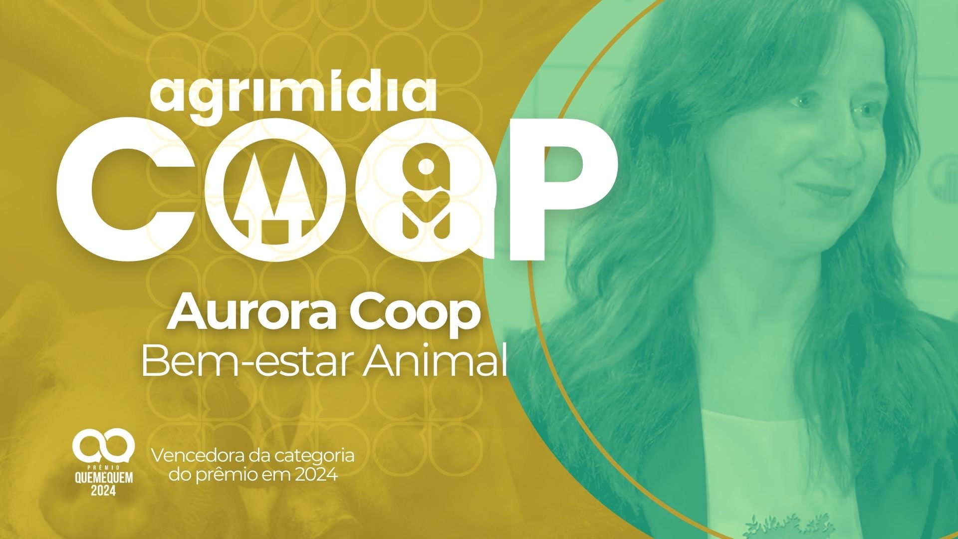 Agrimidia Coop #3: cooperativa Aurora foca em práticas de bem-estar animal
