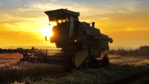 COP30 e o agro: entre retórica verde e realidade econômica