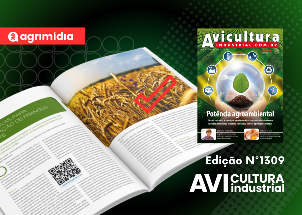 Avicultura Industrial em Foco: Alternativas para alimentação de frangos de corte, segundo Embrapa