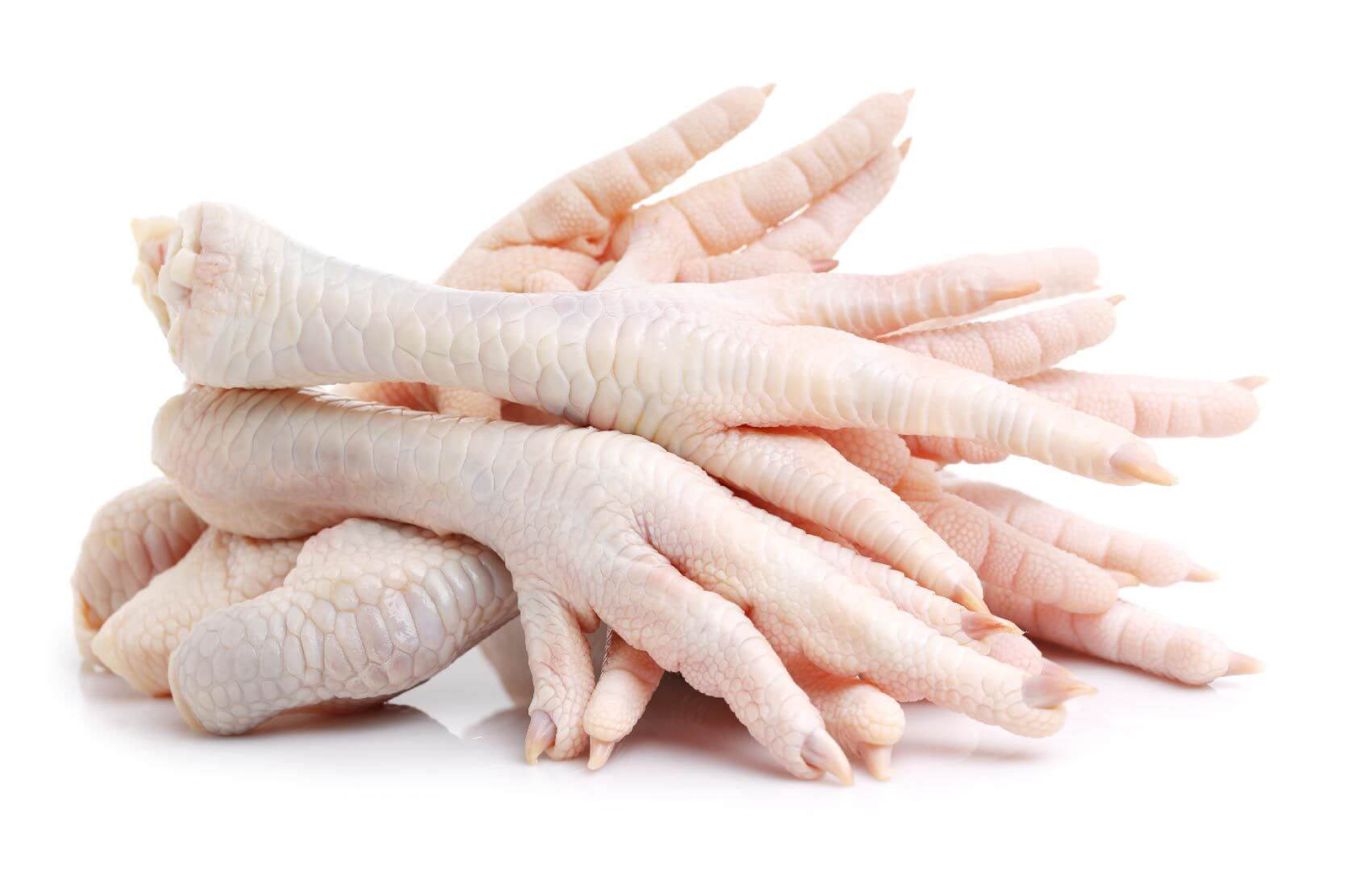 Extração de proteínas de resíduos de aves é estratégia sustentável para economia