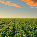 Embrapa entrega 163 medidas ao Mapa para gestão de risco climático