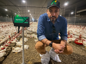 Frango conectado: Com incentivo de R$ 30 milhões, GTFoods aposta em tecnologia e rentabiliza 37% em criação de aves