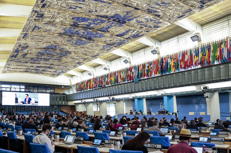 As práticas sustentáveis utilizadas na agropecuária brasileira serão apresentadas na 29ª COAG/FAO