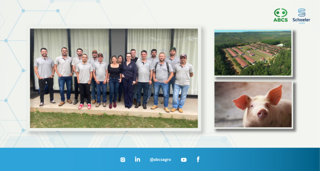 ABCS realiza treinamentos de bem-estar animal para 182 colaboradores nas unidades da Schoeler Agro no Paraná