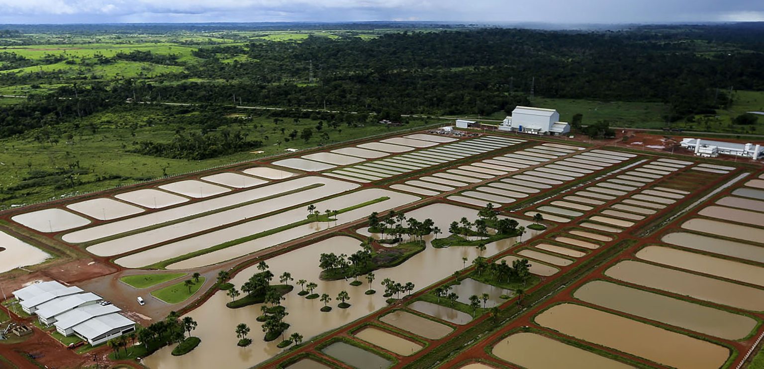 Pesquisa da UFRJ em parceria internacional avança no uso de tecnologias sustentáveis para aquicultura
